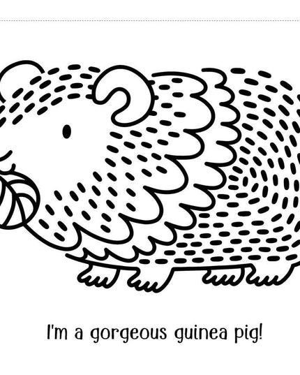 First Magic Painting Pets: Abigail Wheatley