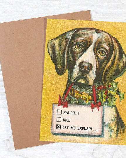 Naughty • Nice • Let Me Explain - Dog Lover's Christmas Card