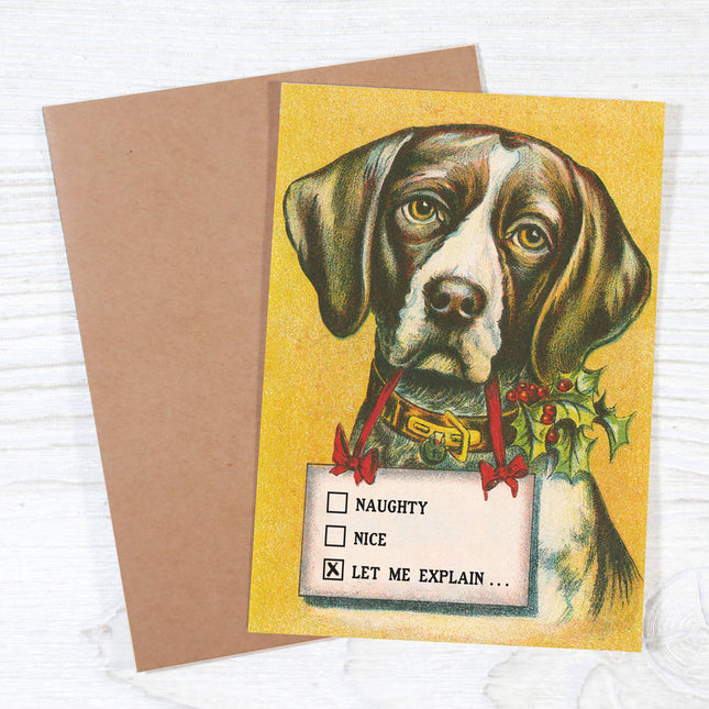 Naughty • Nice • Let Me Explain - Dog Lover's Christmas Card