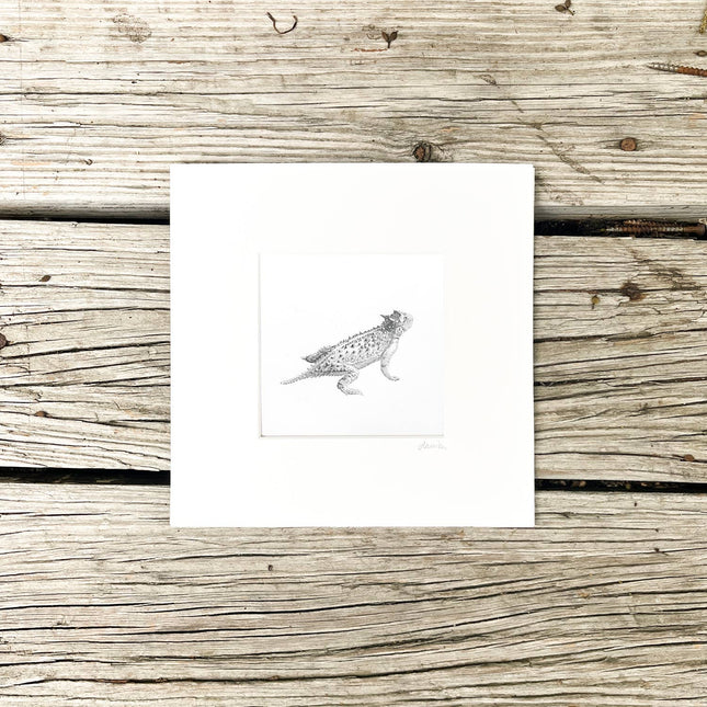 Horned Lizard Drawing Art Print