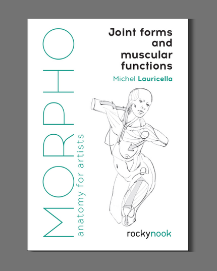 Morpho: Joint Forms And Muscular Functions