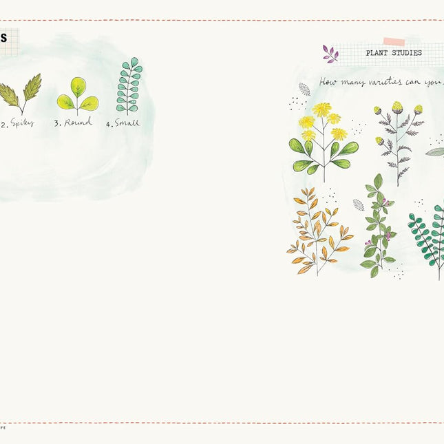 50 Ways to Draw Your Beautiful, Ordinary Life