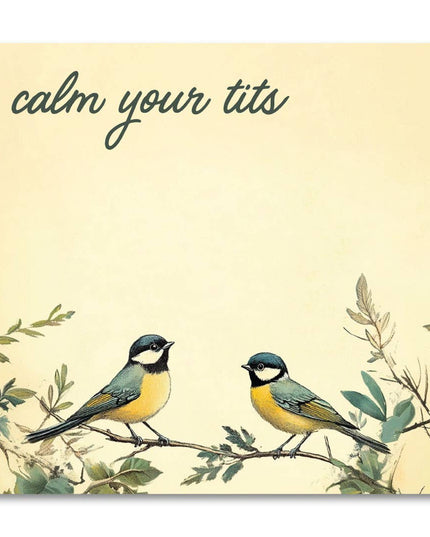 Calm Your Tits - Funny Sarcastic Sticky Note Pad