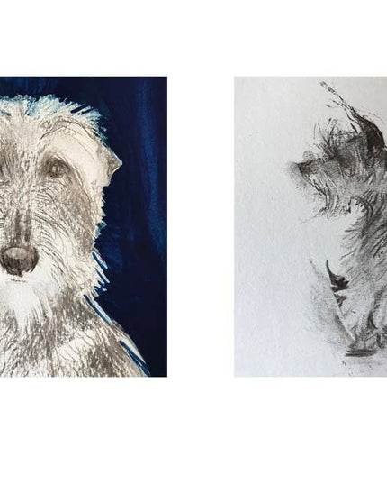 Rescue Dogs: Sally Muir