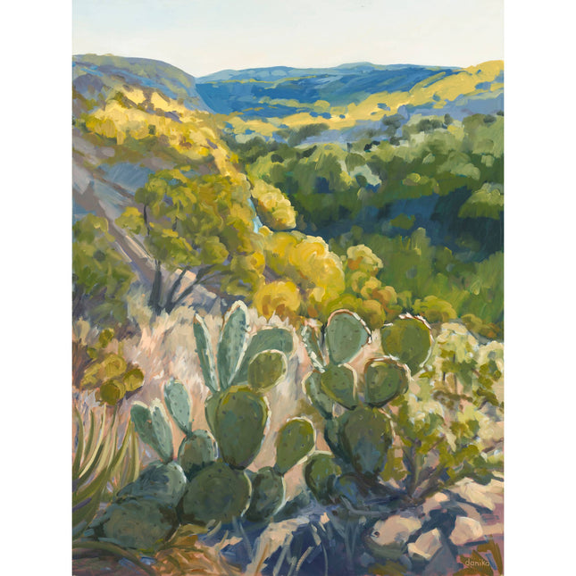 Texas Hill Country Print