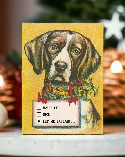 Naughty • Nice • Let Me Explain - Dog Lover's Christmas Card