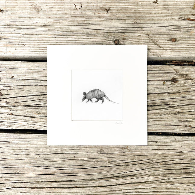 Armadillo Drawing Art Print