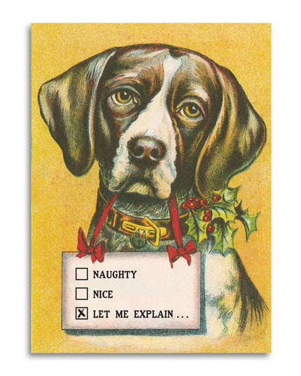 Naughty • Nice • Let Me Explain - Dog Lover's Christmas Card