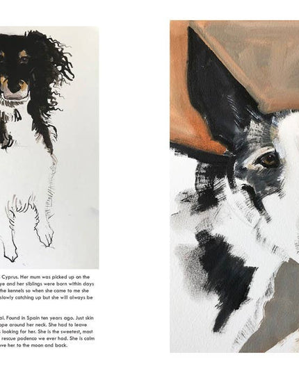 Rescue Dogs: Sally Muir