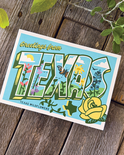 Texas Wildflowers Postcard